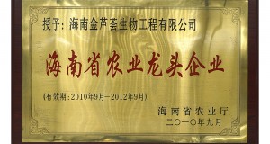 海南省龍頭企業(yè)